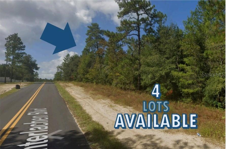 A paved road runs alongside a wooded, undeveloped plot of land with a blue arrow — 108 INTERLACHEN BOULEVARD, INTERLACHEN, FL