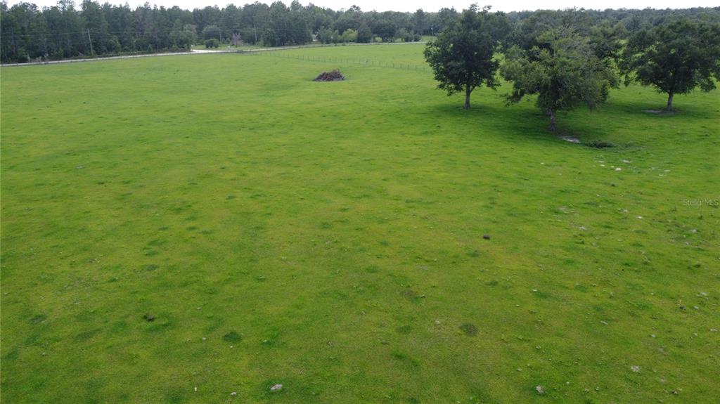 An aerial view shows a large, open green pasture with scattered trees and a fence — 138TH STREET, LIVE OAK, FL
