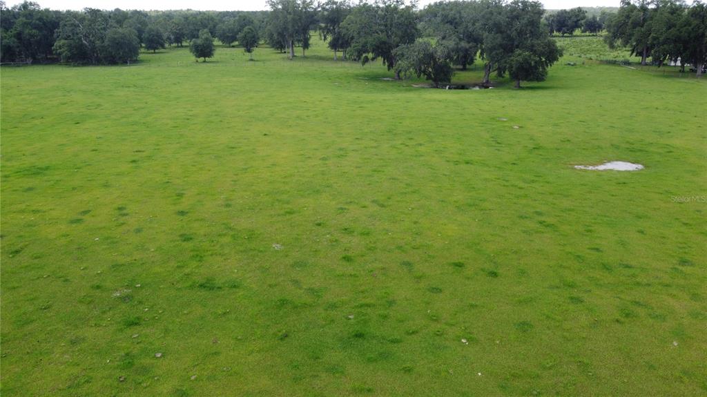 An aerial view shows a large, open green pasture with scattered trees and a small pond — 138TH STREET, LIVE OAK, FL
