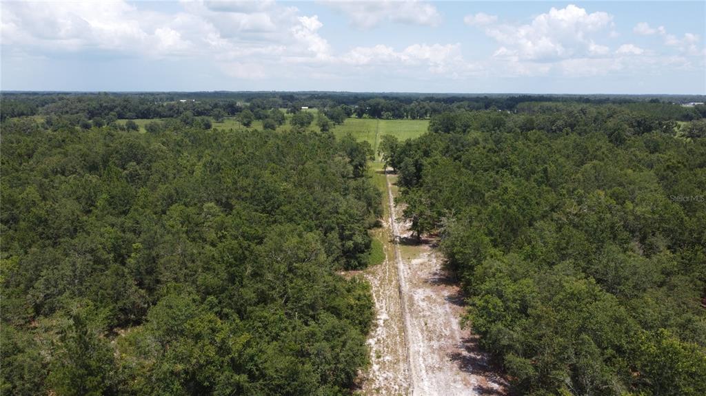 An aerial view shows a dirt path cutting through a dense forest toward open fields — 138TH STREET, LIVE OAK, FL