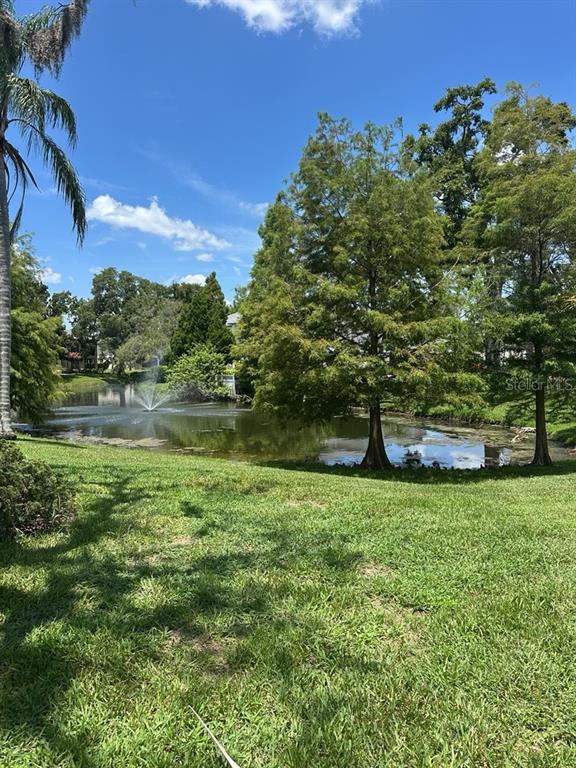 A grassy lawn slopes down toward a pond with a fountain and surrounding trees — 13046 VILLAGE CHASE CIRCLE UNIT 13046, TAMPA, FL