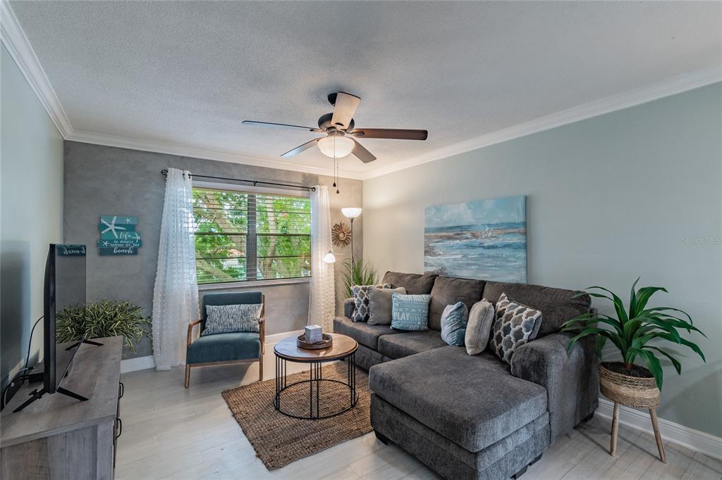A living room features a gray sectional sofa, a round coffee table, and a ceiling fan — 439 S PAULA DRIVE UNIT 202, DUNEDIN, FL