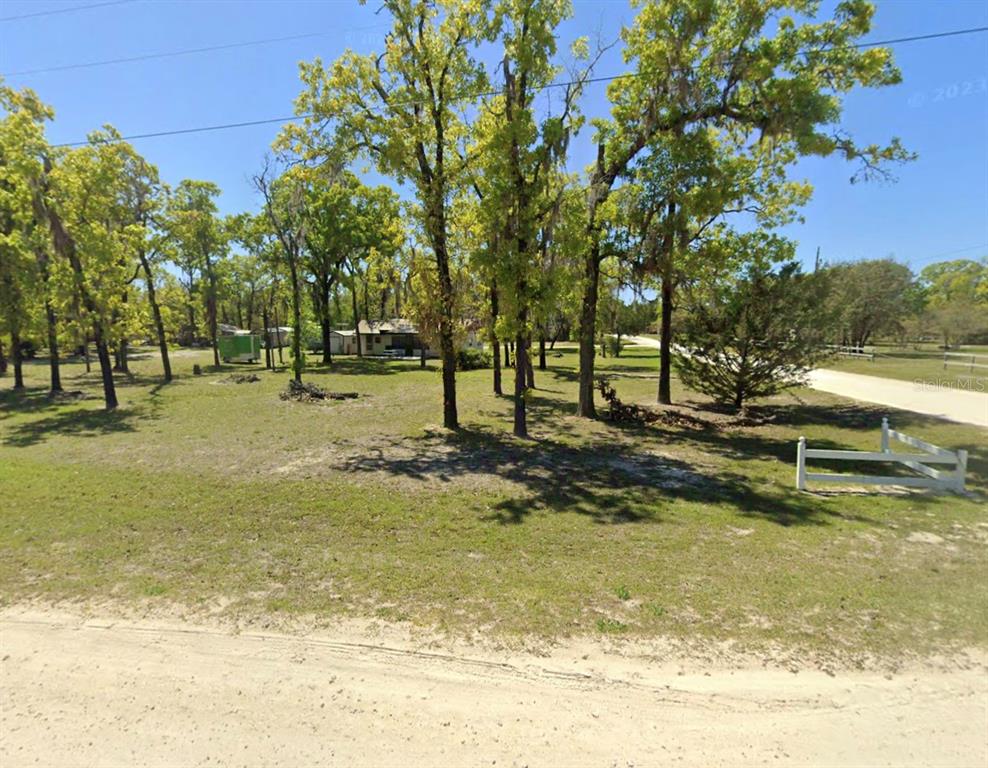 A grassy, tree-filled lot features a white fence and a small house in the distance — 2699 LIVE OAK ROAD, PERRY, FL