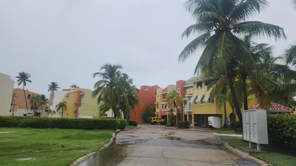 A paved road leads past colorful multi-story residential buildings surrounded by palm trees and landscaping — Harbour Drive Street PLAZA DEL PUERTO @ PALMAS DEL MAR DRIVE NE UNIT A-9, HUMACAO, PR