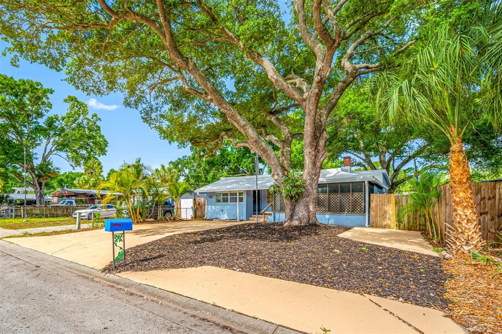 A light blue house sits behind a large tree with a paved driveway and mulch — 5044 BETTY STREET N, ST PETERSBURG, FL