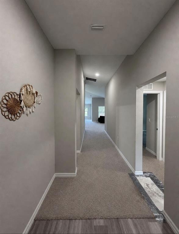 A hallway with gray walls, carpeted flooring, and wall-mounted decorative woven baskets — 5480 SILTSTONE STREET, LAKELAND, FL