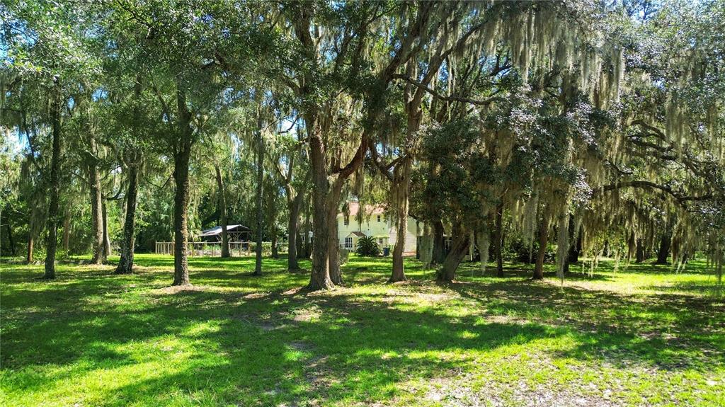 5225 GRIFFIN ROAD, BROOKSVILLE, FL — photo 3 of 30
