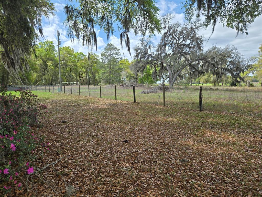 A wire fence separates a leaf-covered yard from a grassy field with large oak trees — 2327 CR 528, SUMTERVILLE, FL