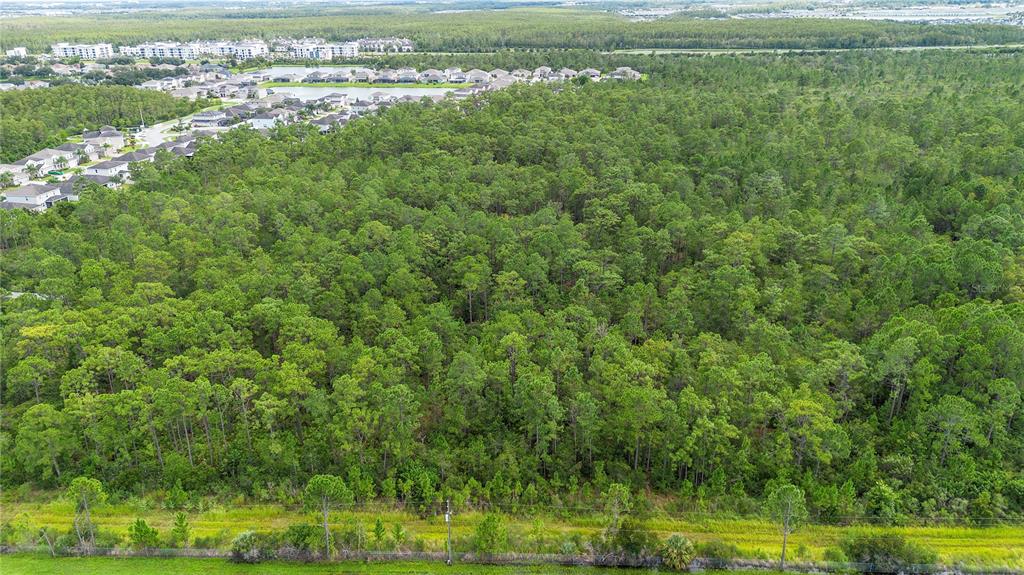 S APOPKA VINELAND ROAD