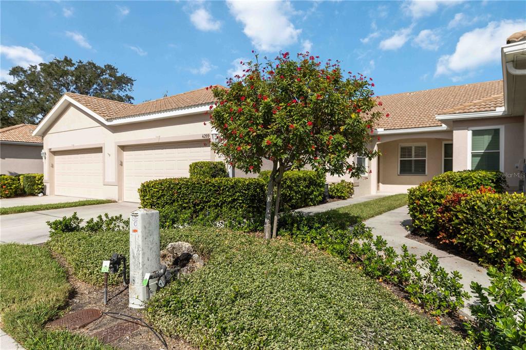 4209 CASCADE FALLS DRIVE