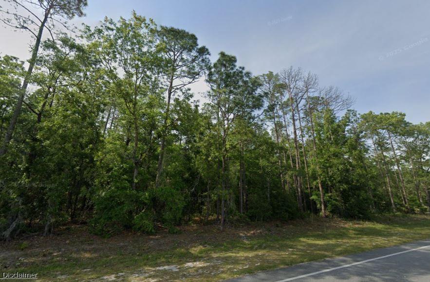 NE HWY 351, OLD TOWN, FL — photo 2 of 5