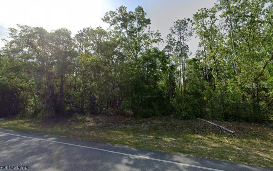 NE HWY 351, OLD TOWN, FL — photo 3 of 5