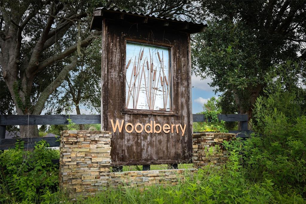 A rustic wooden sign with cattail artwork marks the entrance to the Woodberry community — 34534 TREE FROG LANE, EUSTIS, FL