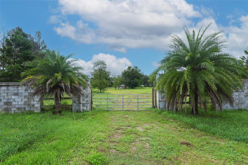 A metal gate sits between two palm trees and concrete block walls leading to a field — 34534 TREE FROG LANE, EUSTIS, FL