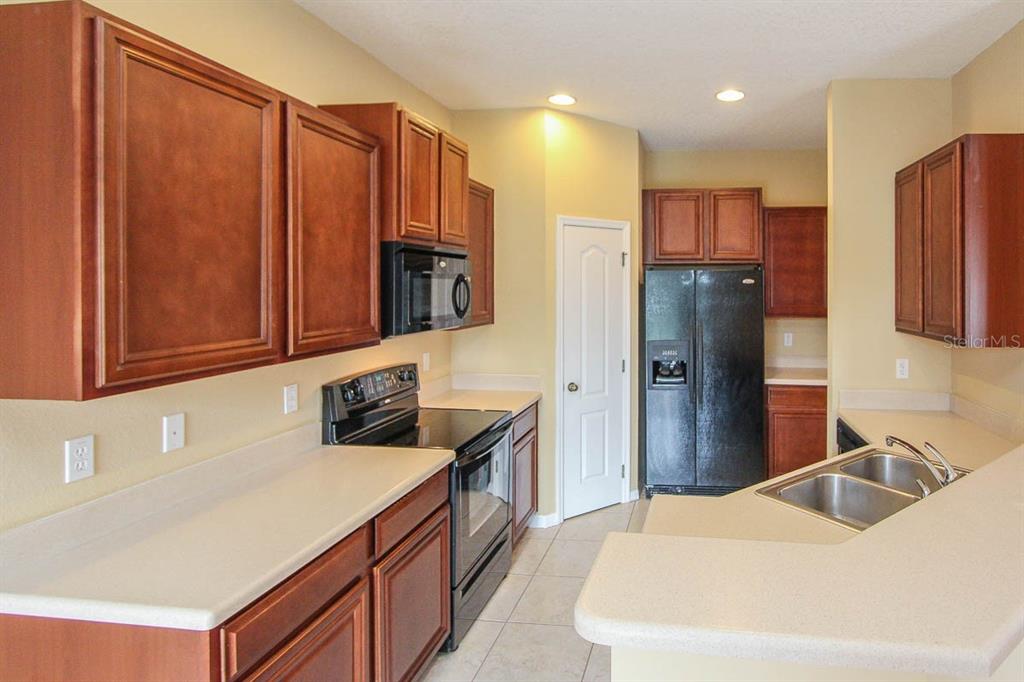 16515 KINGLETRIDGE AVENUE, LITHIA, FL — photo 3 of 15