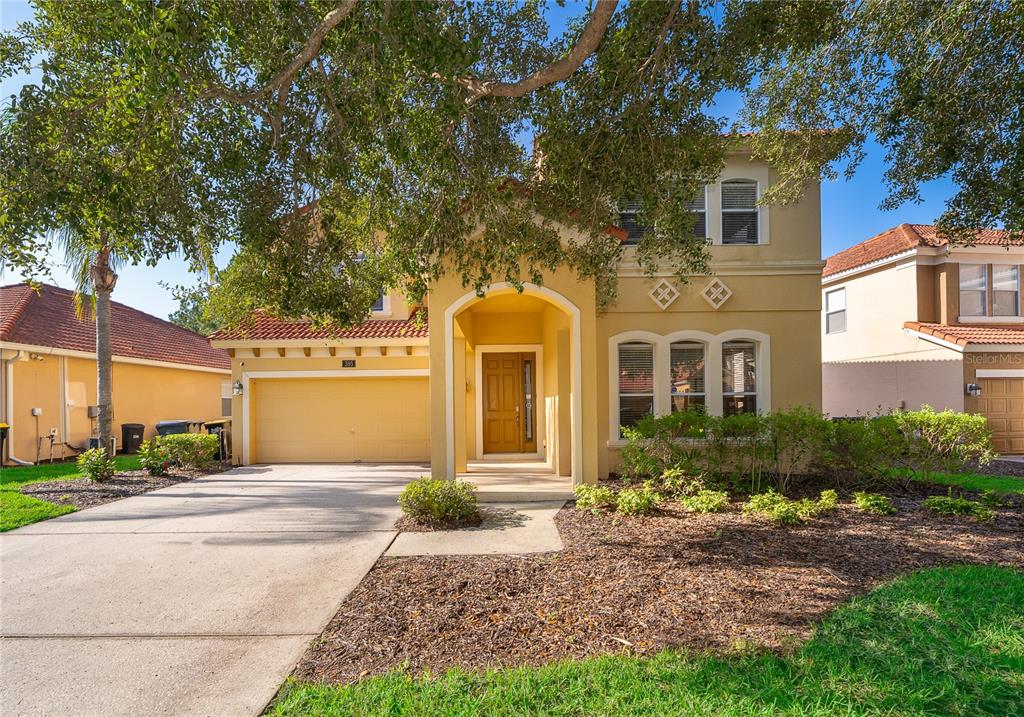 385 ORANGE COSMOS BOULEVARD