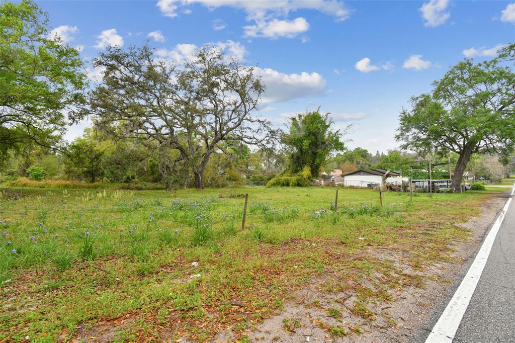A grassy, undeveloped lot with several large trees sits beside a paved road — S TAYLOR ROAD, SEFFNER, FL
