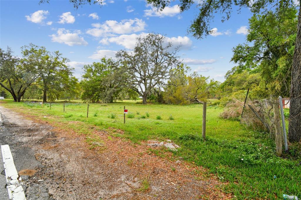 A grassy, fenced vacant lot features several large trees under a partly cloudy blue sky — S TAYLOR ROAD, SEFFNER, FL