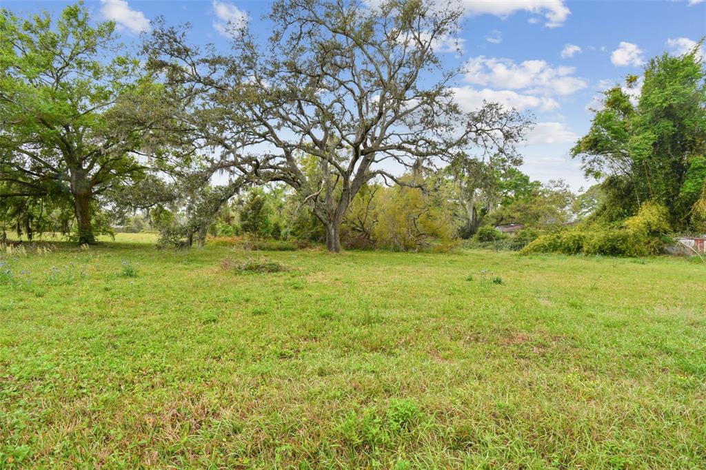 A grassy, open lot features several large, mature trees under a blue sky with clouds — S TAYLOR ROAD, SEFFNER, FL