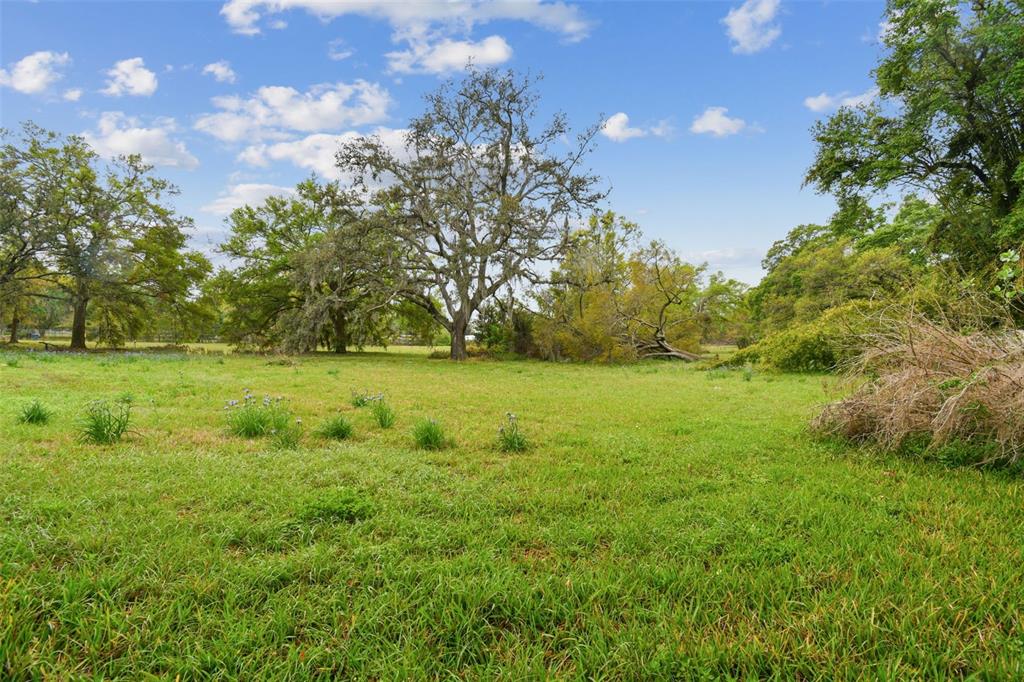 A grassy field features several large, mature trees under a bright blue sky — S TAYLOR ROAD, SEFFNER, FL