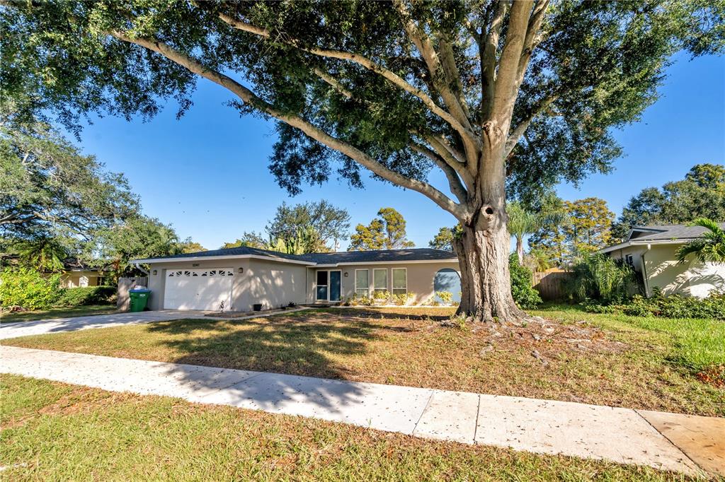 A single-story house with a large tree in the front yard and a driveway — 13347 88TH PLACE, SEMINOLE, FL