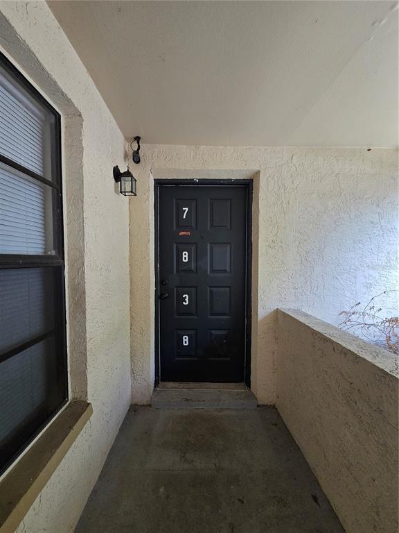 A black front door with the number 7838 is set in a textured beige exterior wall — 7838 NIAGARA AVENUE UNIT 305, TAMPA, FL