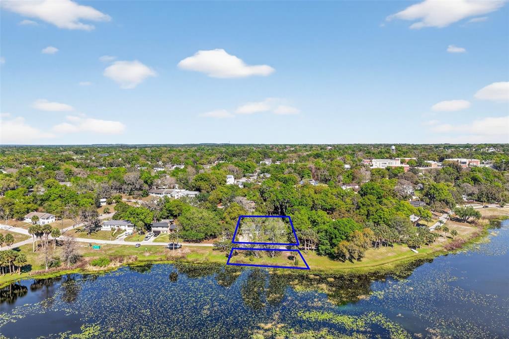 An aerial view shows a lakeside lot outlined in blue near a residential street — 1039 LAKE GRACIE DRIVE, EUSTIS, FL