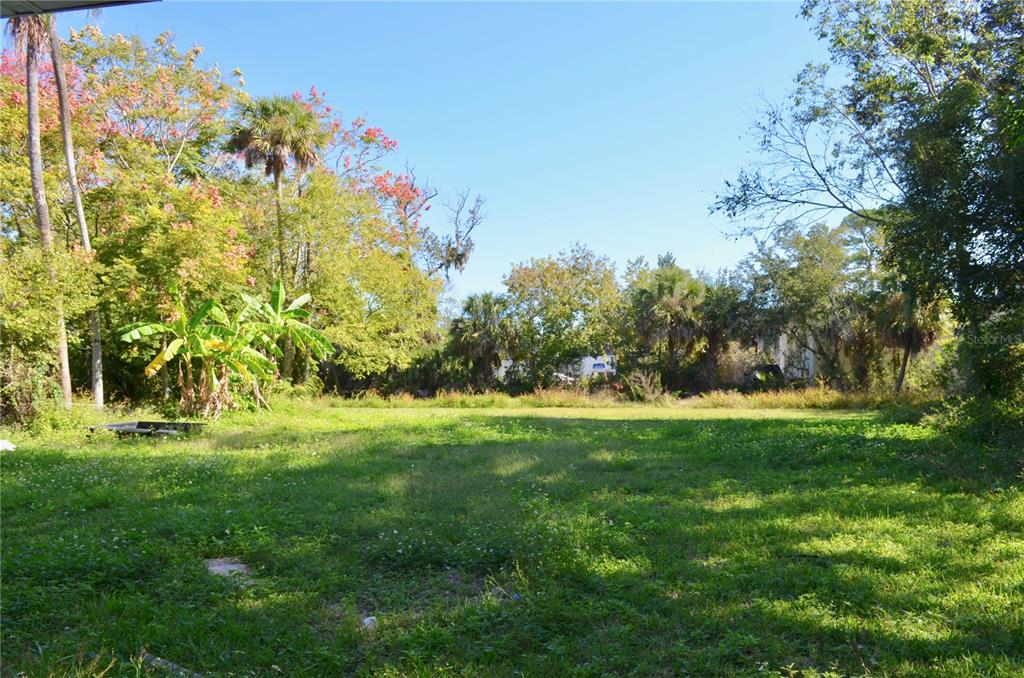 A large, grassy backyard features mature trees, palm trees, and a banana plant — 603 MARLENE DRIVE, DAYTONA BEACH, FL