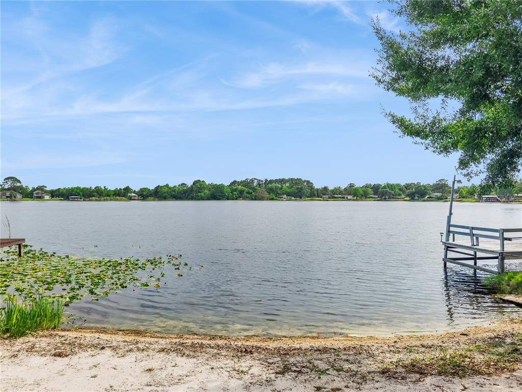 A sandy lakeshore features a wooden dock and lily pads under a blue sky — 9642 BEAR LAKE ROAD, APOPKA, FL