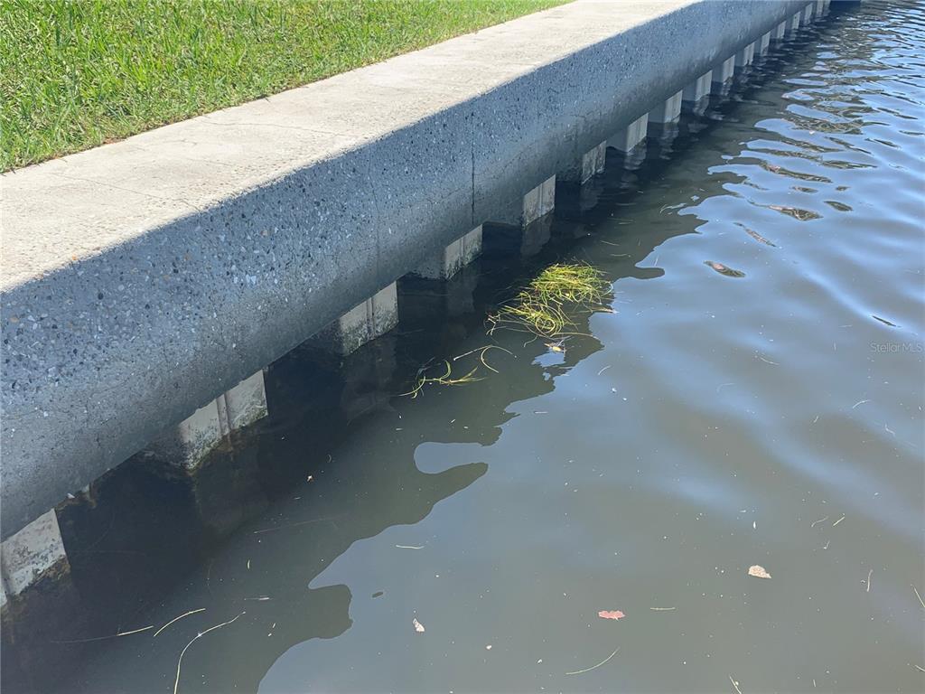 A concrete seawall borders a grassy lawn along the edge of a body of water — 538 67TH STREET, HOLMES BEACH, FL