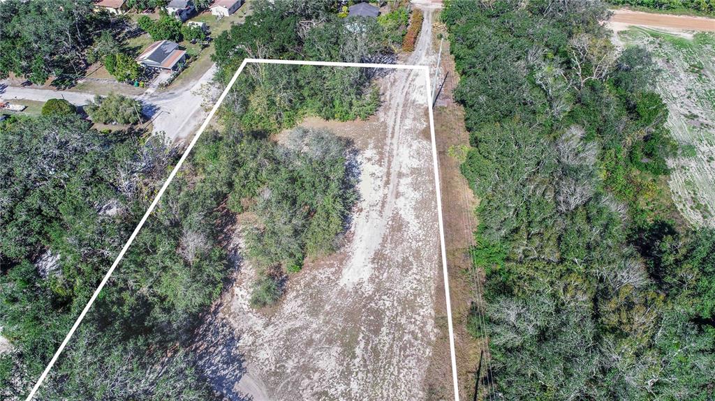An aerial view shows a rectangular, partially cleared vacant lot surrounded by trees and roads — DANIEL STREET, DUNDEE, FL