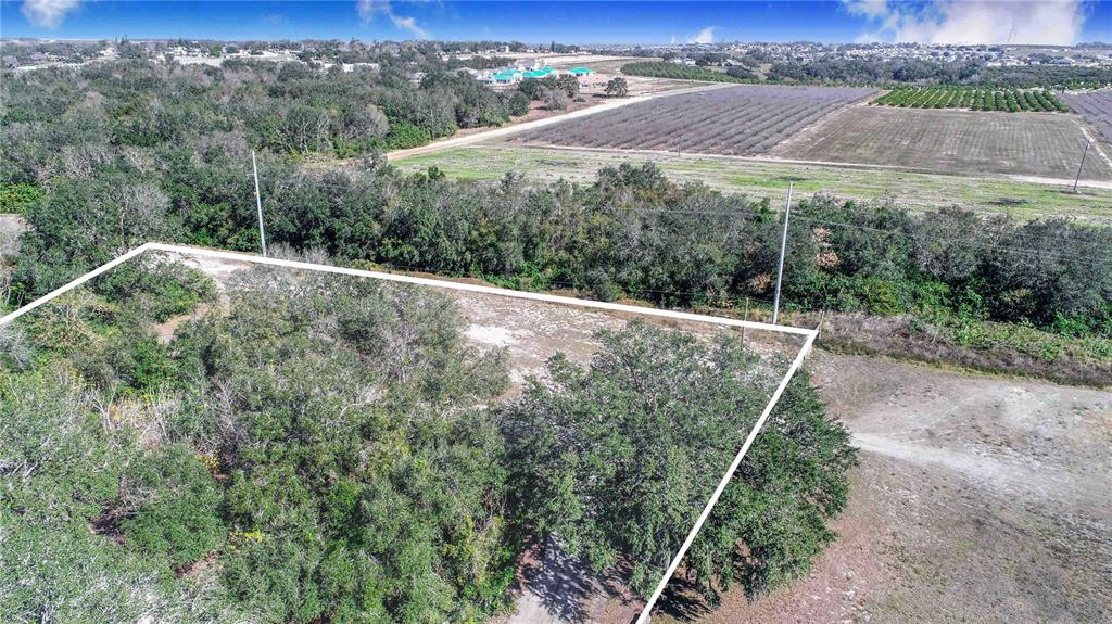 An aerial view shows a rectangular plot of land outlined in white amidst trees — DANIEL STREET, DUNDEE, FL