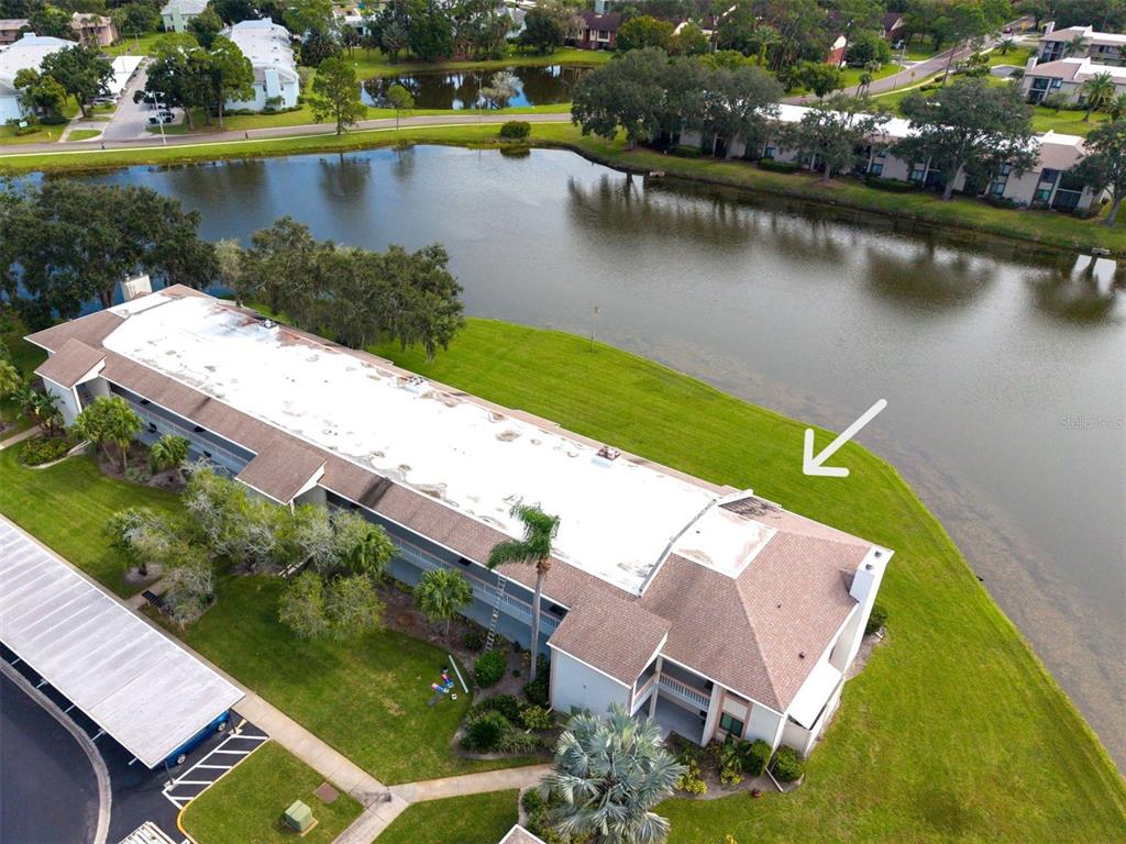 151 LAKEVIEW WAY UNIT 151, OLDSMAR, FL — photo 3 of 30