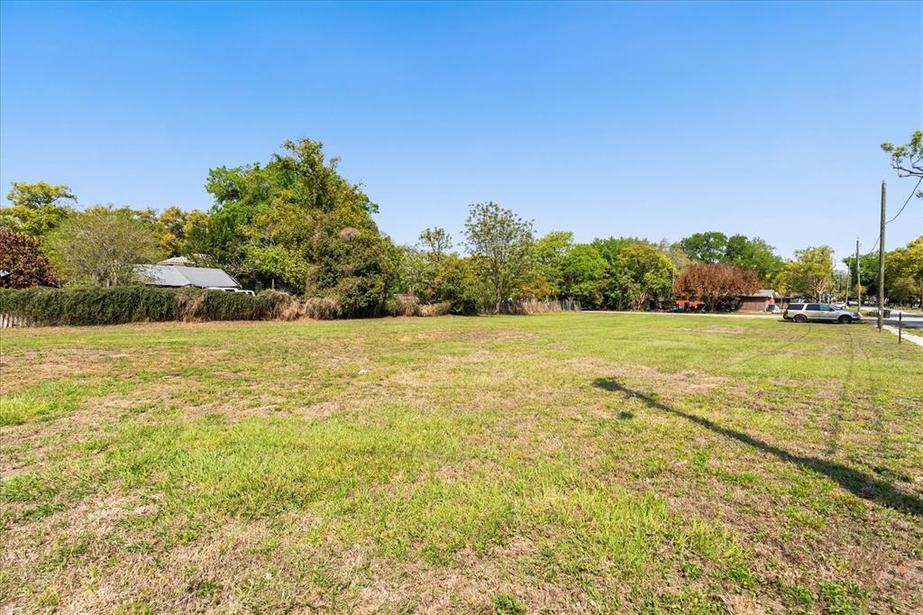 A wide, grassy vacant lot is bordered by trees and a residential street — 28 REWIS STREET, OCOEE, FL