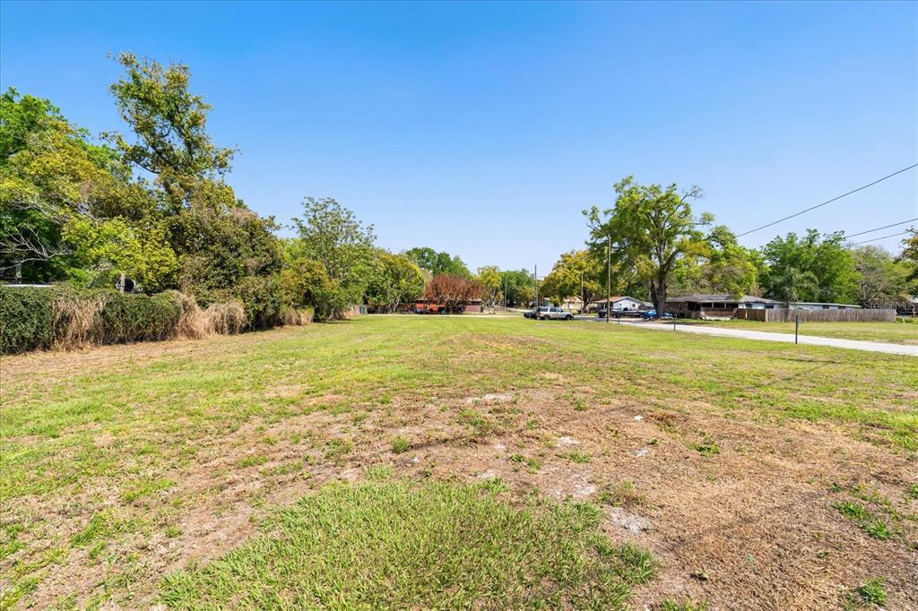 A large, grassy vacant lot with scattered trees under a clear blue sky — 28 REWIS STREET, OCOEE, FL