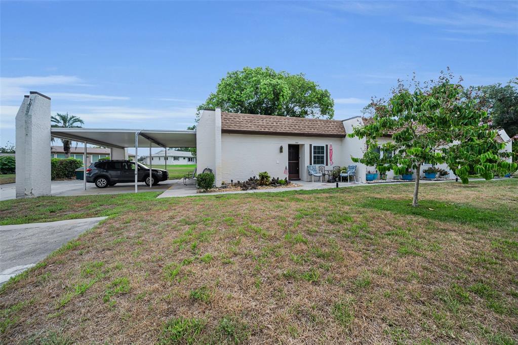 A small tree stands in the front yard of a single-story home with a patio — 3097 MISSION GROVE DRIVE, PALM HARBOR, FL