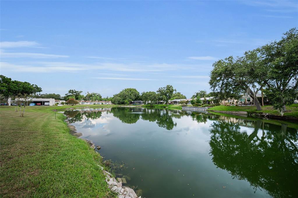 A curved asphalt road borders a pond surrounded by grass, trees, and residential houses — 3097 MISSION GROVE DRIVE, PALM HARBOR, FL