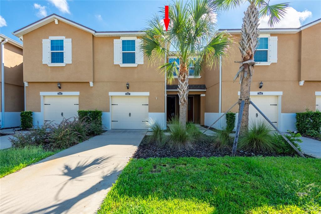 The exterior of a multi-unit townhouse complex features tan stucco walls and white garage doors — 17847 ALTHEA BLUE PLACE, LUTZ, FL