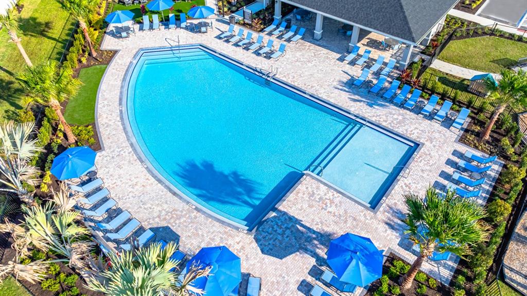 An aerial view shows a swimming pool with lounge chairs and umbrellas on a patio — 846 STEEL DRIVE, APOLLO BEACH, FL