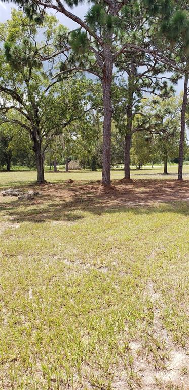 8049 E HIGHWAY 25, BELLEVIEW, FL — photo 4 of 6