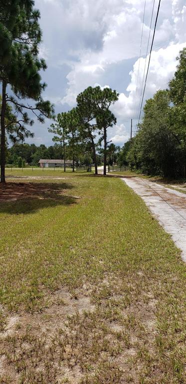 8049 E HIGHWAY 25, BELLEVIEW, FL — photo 5 of 6