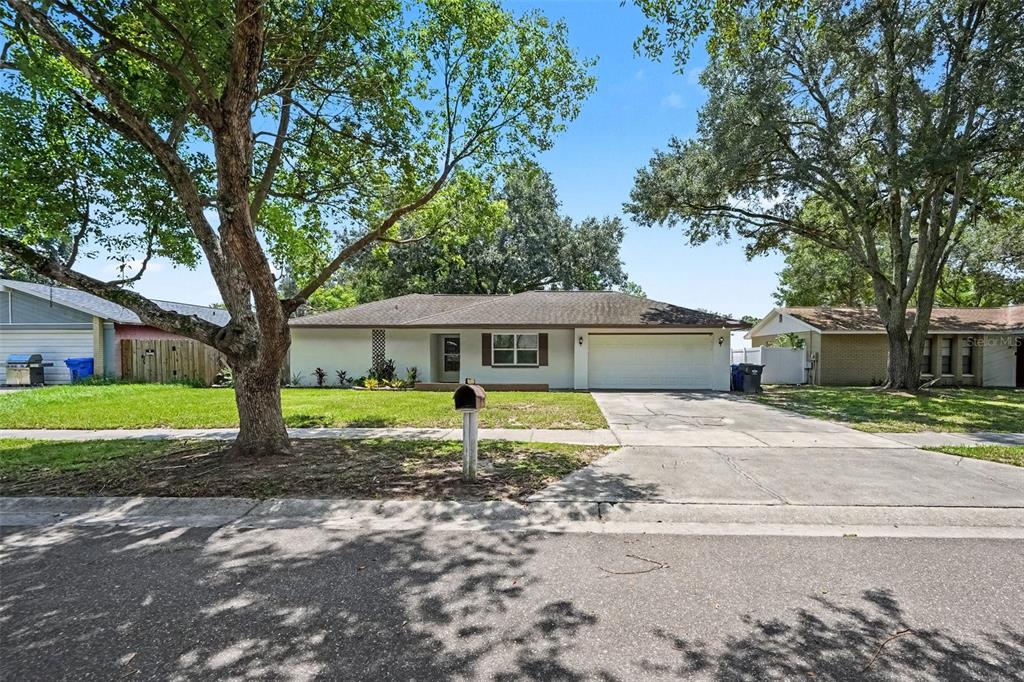 A single-story house with a white exterior, a two-car garage, and a large front tree — 1913 CEDARBROOKE DRIVE, LUTZ, FL
