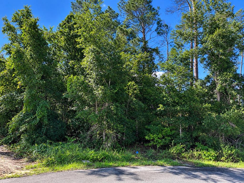 13410 SHORT COURT, SPRING HILL, FL — photo 2 of 2