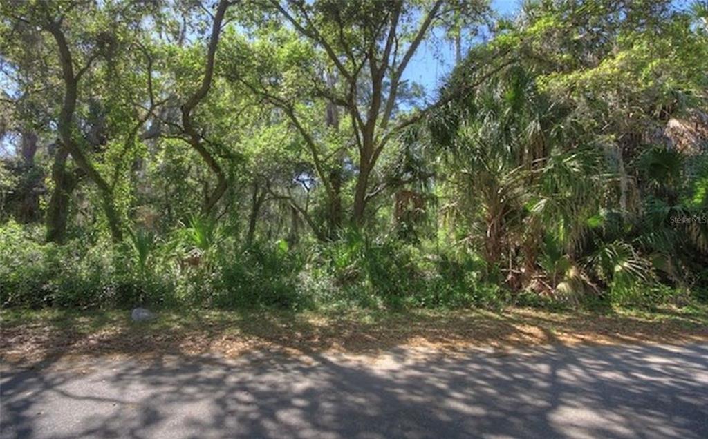 This is an aerial map showing a vacant, wooded residential lot outlined in light blue — Lot 2 SW 165TH AVENUE, CEDAR KEY, FL