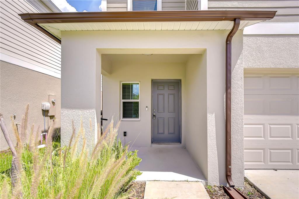 A covered entryway features a gray front door, a window, and a brown downspout — 7917 PEACE LILY AVENUE, WESLEY CHAPEL, FL
