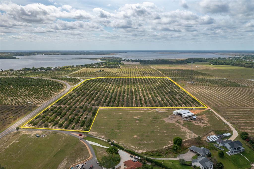 An aerial view shows a large agricultural plot with rows of trees outlined in yellow — SCENIC HIGHWAY N, BABSON PARK, FL