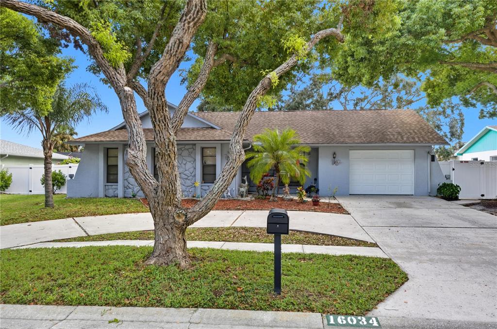 16034 PINE RIDGE DRIVE