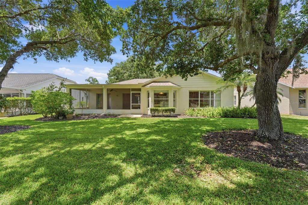 An outdoor swimming pool with lounge chairs overlooks a lake with a fountain and houses — 1444 CANBERLEY COURT, TRINITY, FL