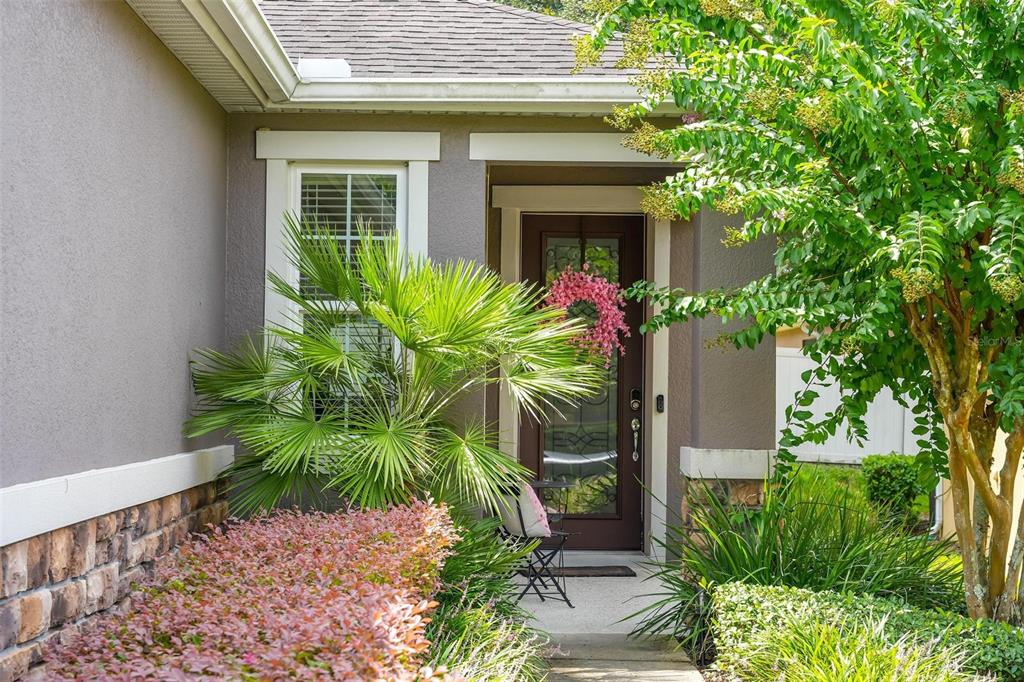 The front entrance features a brown door with a glass insert and a small palm tree — 30539 LIPIZZAN TERRACE, MOUNT DORA, FL