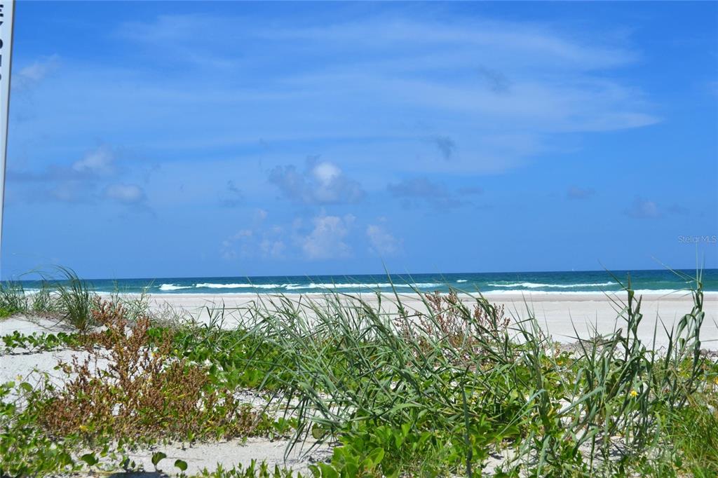 A blue, circular two-story house with a paved driveway and a landscaped front yard — 87 BUSCHMAN DRIVE, PONCE INLET, FL